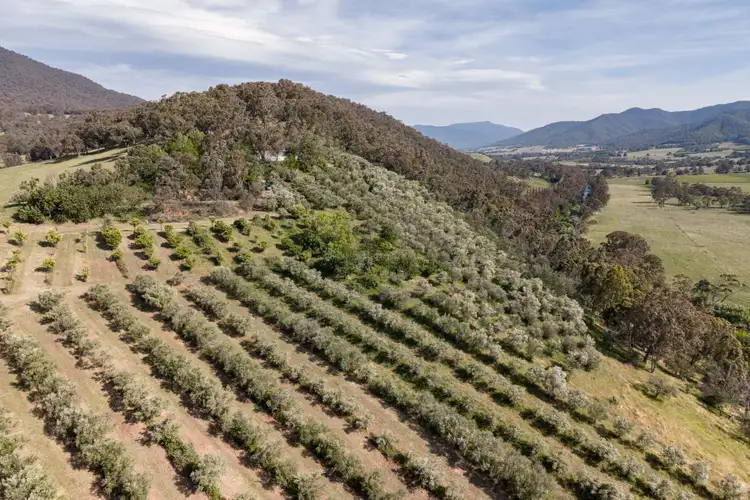 Fifth view of Homely rural property listing, 528 Redbank Mongans Road, Mongans Bridge VIC 3691