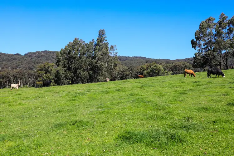 Fifth view of Homely house listing, 154 Straws Lane, Hesket VIC 3442