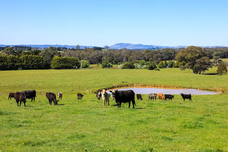 Sixth view of Homely house listing, 154 Straws Lane, Hesket VIC 3442