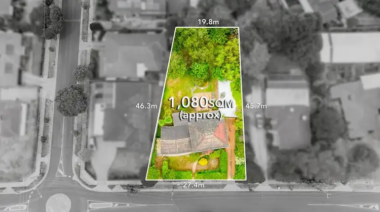 91 Orange Grove