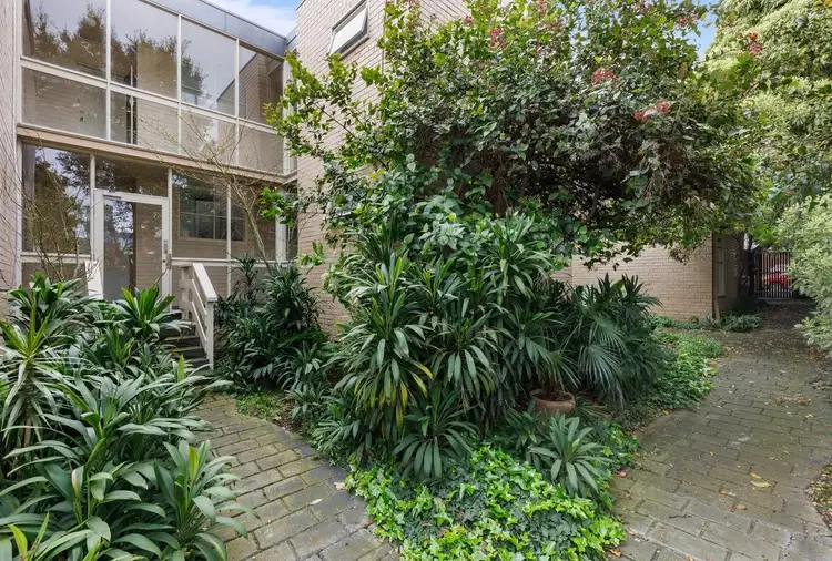 19 Chapman Street