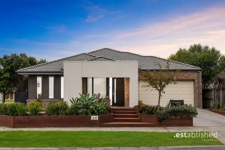 58 Dingo Street