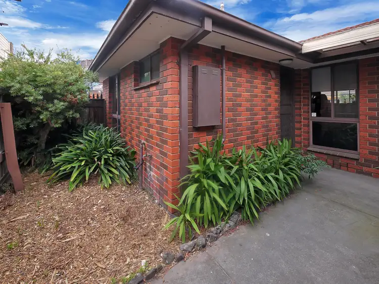 1 Jolley Street