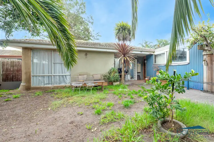 81 Robertson Drive
