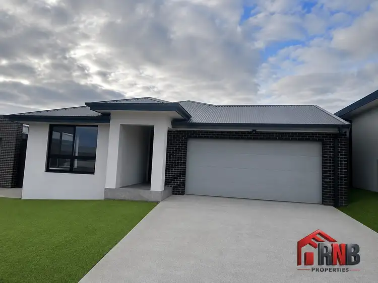 11 Melicope Street