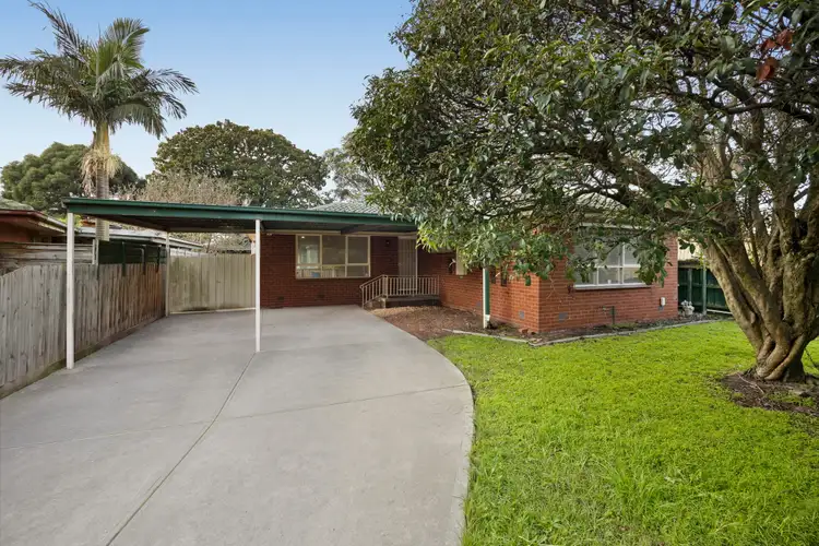 50 Lurline Street