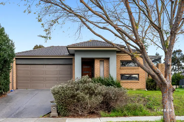 11 Galenia Street