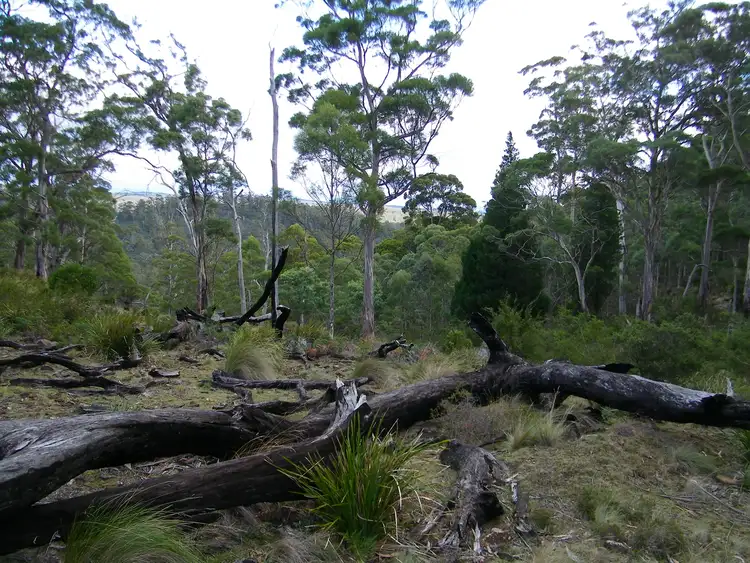 Second view of Homely rural property listing, 0 Swanston Road, Swanston TAS 7120