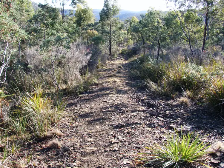 Sixth view of Homely rural property listing, 0 Swanston Road, Swanston TAS 7120