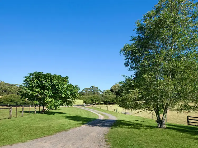 Third view of Homely rural property listing, 695 Skenes Creek Road, Skenes Creek VIC 3233