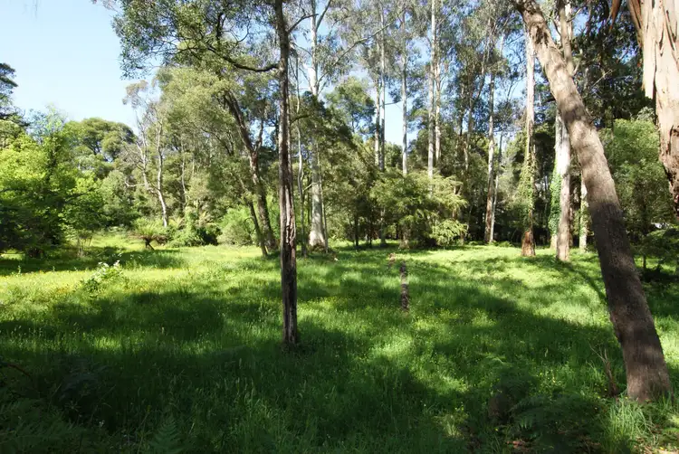 25 Hazelwood Road, East Warburton VIC 3799