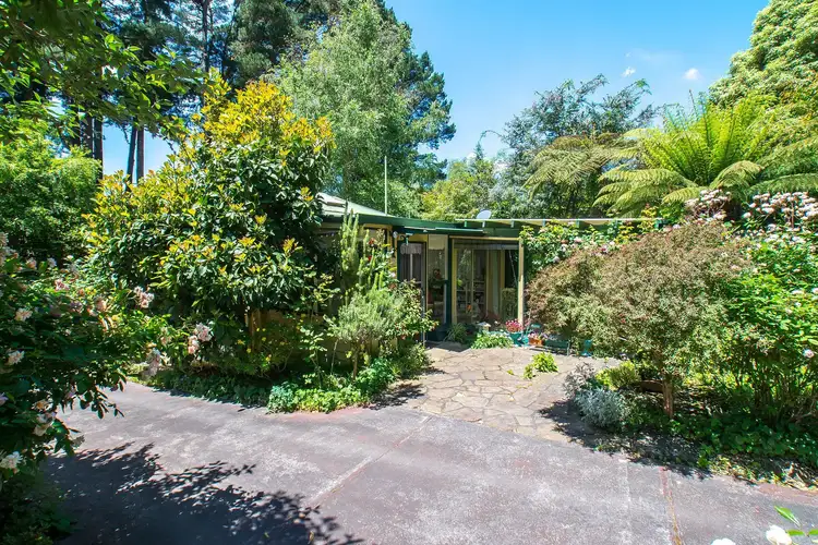 Fifth view of Homely house listing, 12 Summerlea Road, Mount Dandenong VIC 3767