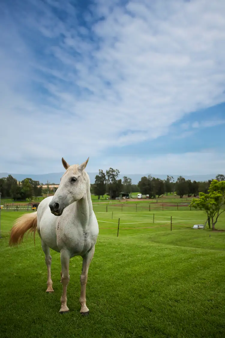 Second view of Homely house listing, 14 Spoonbill Place, Albion Park Rail NSW 2527