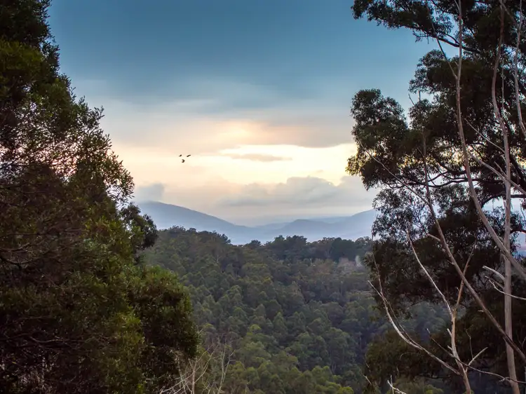 Second view of Homely house listing, 1303 Mt Dandenong Tourist Road, Kalorama VIC 3766