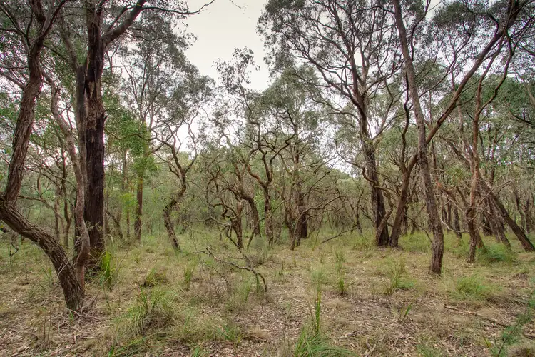 Main view of Homely land listing, Lot/101 Short Road, Macclesfield VIC 3782