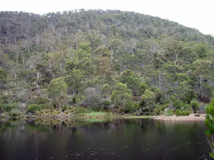 Main view of Homely rural property listing, 0 Swanston Road, Little Swanport TAS 7190