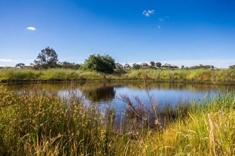 Second view of Homely land listing, 65 Hallets Lane, Yandoit VIC 3461