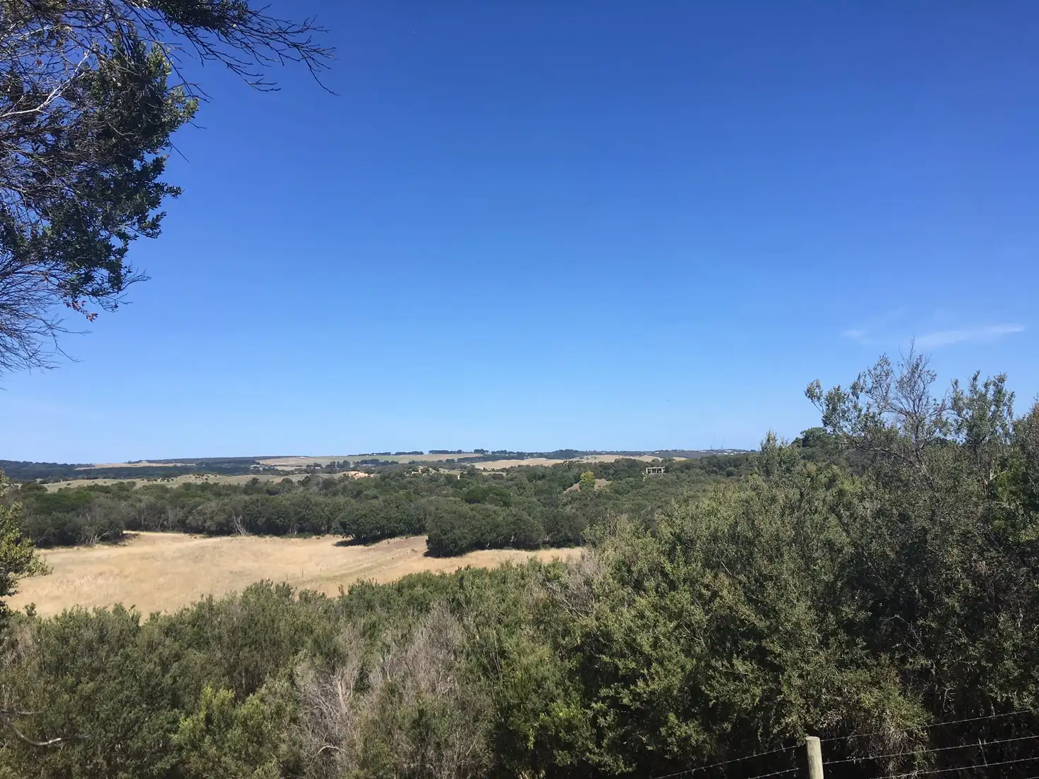 Main view of Homely land listing, 106 Maxwell Road, Fingal VIC 3939