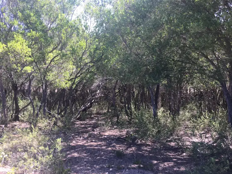 Third view of Homely land listing, 106 Maxwell Road, Fingal VIC 3939