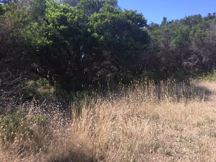 Sixth view of Homely land listing, 106 Maxwell Road, Fingal VIC 3939