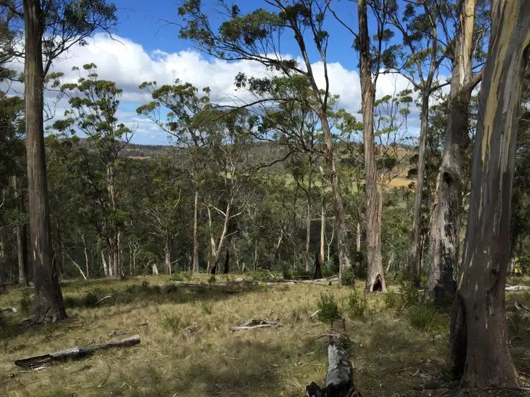 Second view of Homely land listing, 918 Nugent Road, Wattle Hill TAS 7172