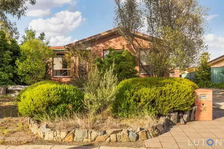Main view of Homely house listing, 36 Tillyard Drive, Flynn ACT 2615