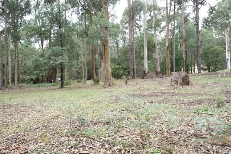 237 Big Pats Creek Road, Big Pats Creek VIC 3799