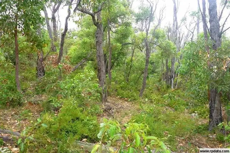 Lot 804 Brook Lookout, North Dandalup WA 6207