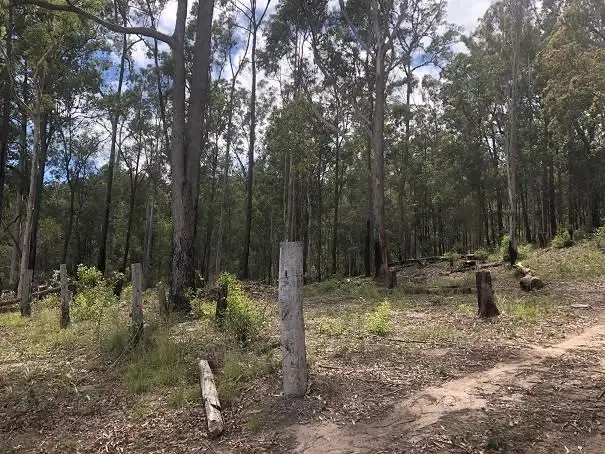 Fifth view of Homely land listing, 2433 Sherwood Creek Road, Glenreagh NSW 2450