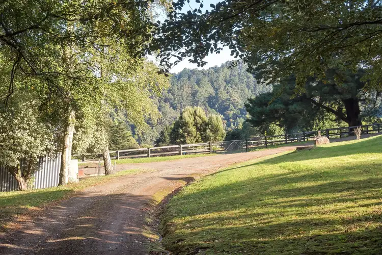 Fifth view of Homely house listing, 42 Chalet Road, Olinda VIC 3788