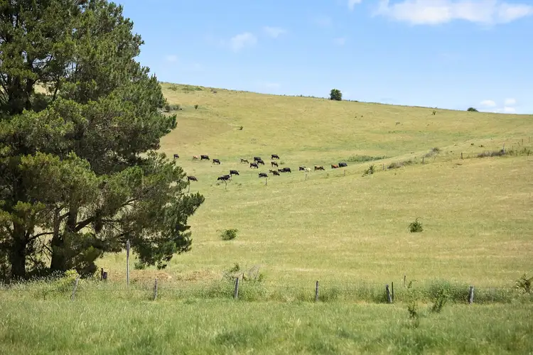 Sixth view of Homely land listing, 16 Eastern Hill Road, Blampied VIC 3364