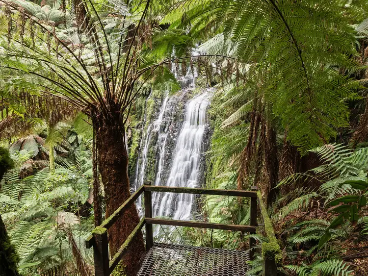 Second view of Homely rural property listing, 1255 Skenes Creek Road, Tanybryn VIC 3249