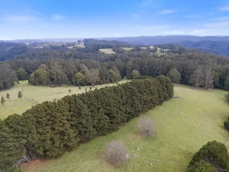 Third view of Homely rural property listing, 1255 Skenes Creek Road, Tanybryn VIC 3249
