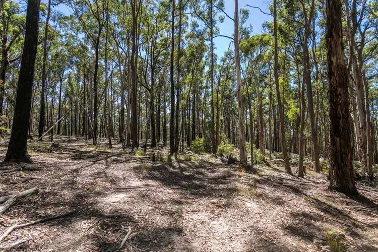 Lot 1 Pescias Hill Road, Eganstown VIC 3461