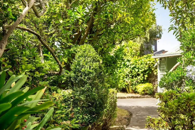 Sixth view of Homely house listing, 12 Hotham Grove, Ripponlea VIC 3185
