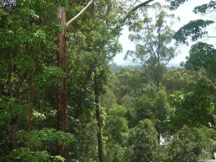 Main view of Homely land listing, 20 Martha Lane, Verrierdale QLD 4562