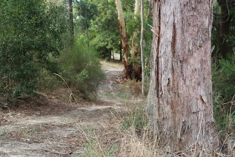 Fourth view of Homely land listing, 2 Armstrong Street, Daylesford VIC 3460