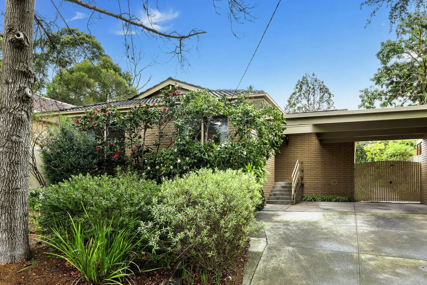 Main view of Homely house listing, 6A Drummond Street, Blackburn South VIC 3130