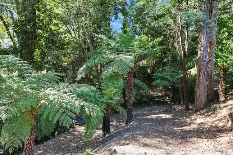 Third view of Homely house listing, 440 Woods Point Road, East Warburton VIC 3799