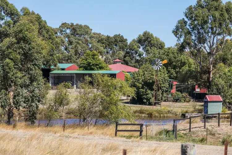 Fourth view of Homely house listing, 419 Shepherds Hill Road, Lauriston VIC 3444