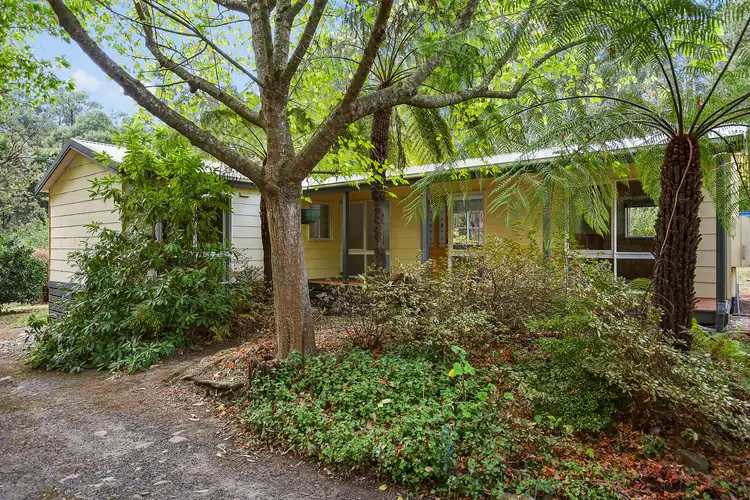 19 Leith Road, Mcmahons Creek VIC 3799