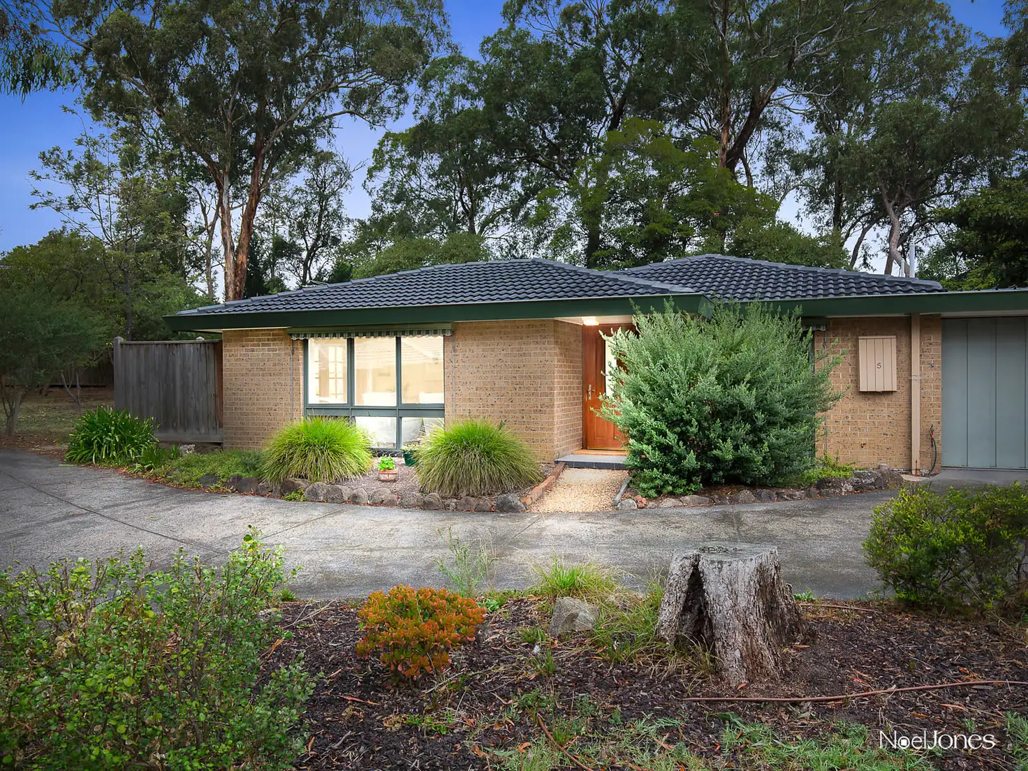 Main view of Homely unit listing, 5/99-101 Surrey Road, Blackburn North VIC 3130