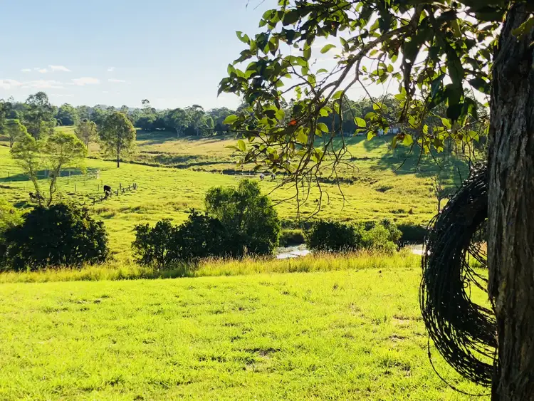 Second view of Homely land listing, 209 De Castella Road, The Palms QLD 4570