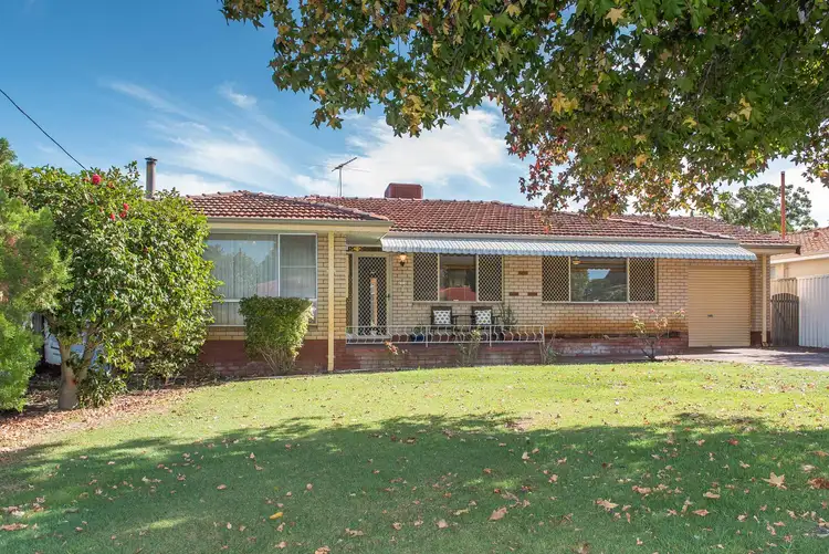 23 Collingwood Street, Dianella WA 6059