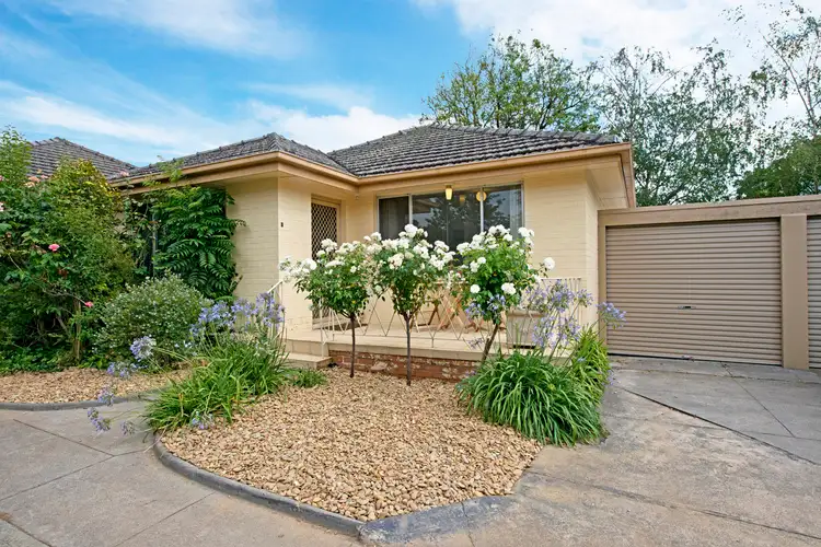 15 Powlett Street