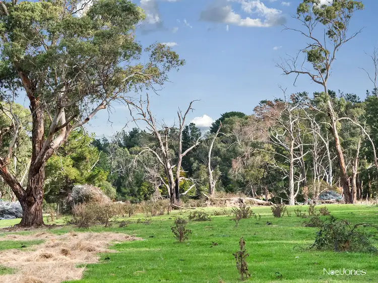 Fifth view of Homely rural property listing, 122 Coolart Road, Tuerong VIC 3915