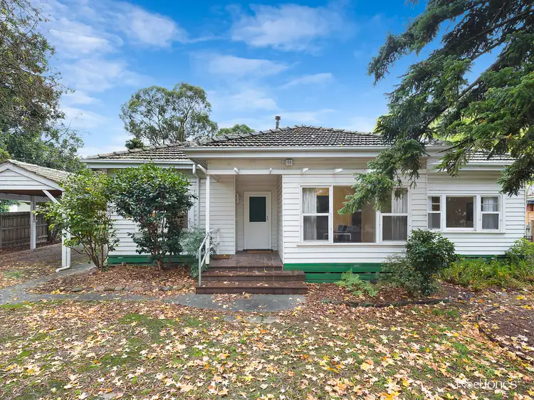 Main view of Homely house listing, 77 Central Road, Blackburn VIC 3130