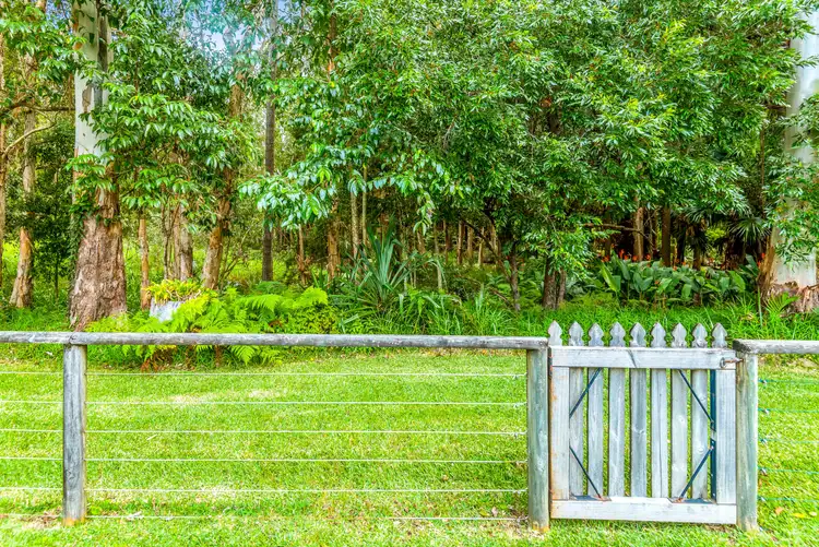 Third view of Homely house listing, 15 Tinaroo Place, Tewantin QLD 4565