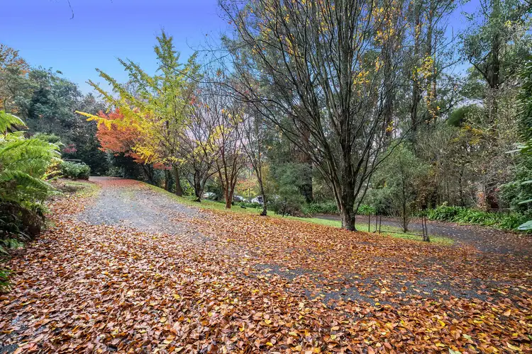 Second view of Homely house listing, 269 Monbulk Road, Monbulk VIC 3793