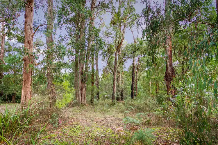 Fourth view of Homely land listing, 18 Upper Grieve Road, Avonsleigh VIC 3782